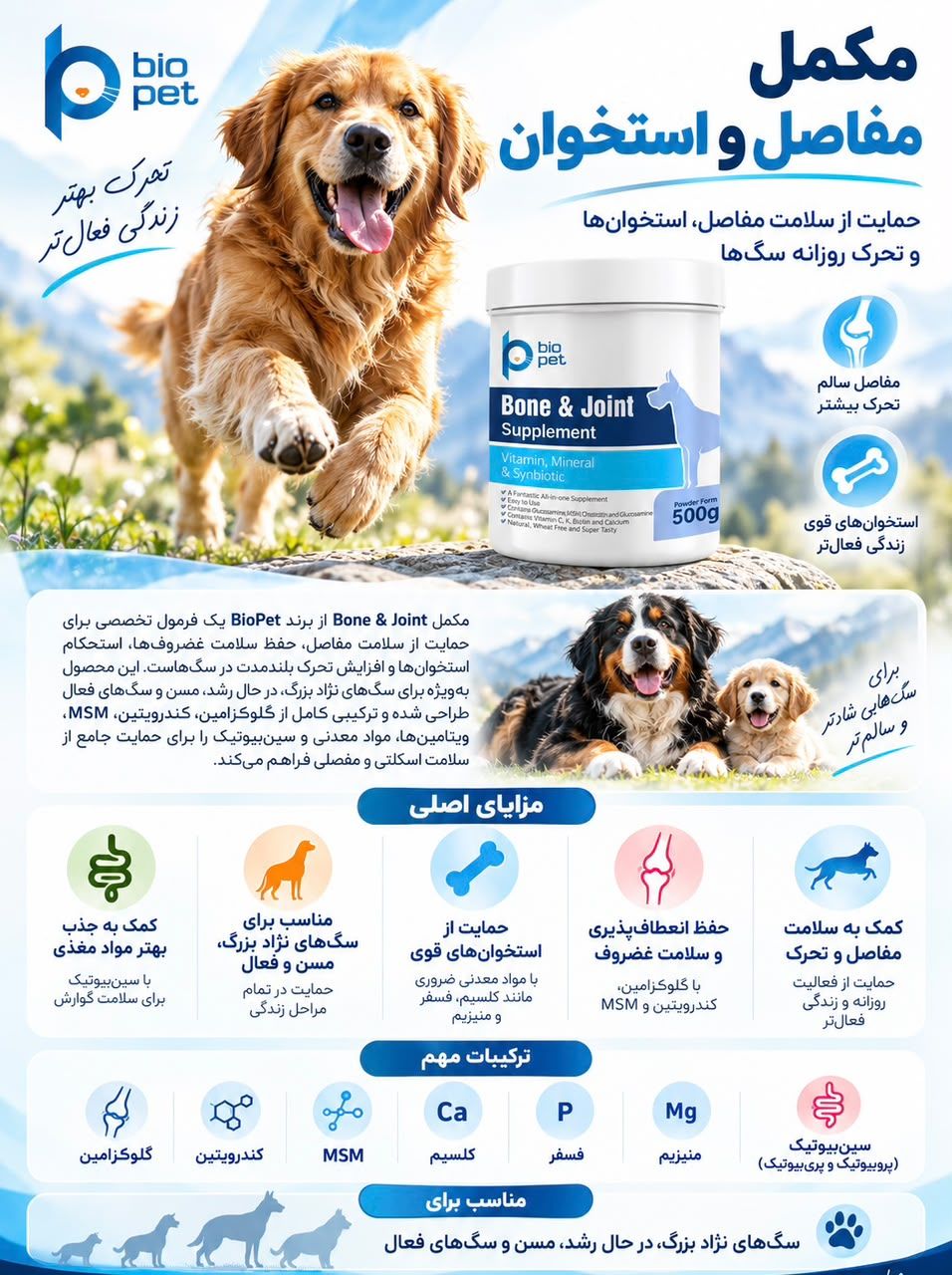 مکمل مفاصل و استخوان مخصوص سگ برند بیوپت